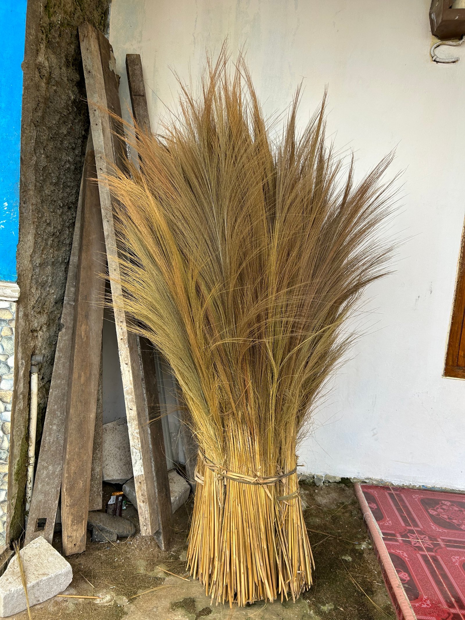 Bunga gelagah hasil panen petani